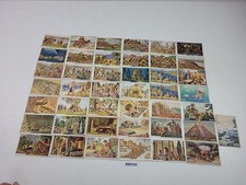 Sammelbilder Erdal Kwak