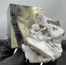 Pyrit Spiegelglatt Quadrat Mit