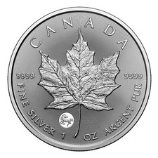Kanada 5 $ 2026 Treasured Maple Leaf Privy Mark Horse 1 Oz Silber BU im Blister