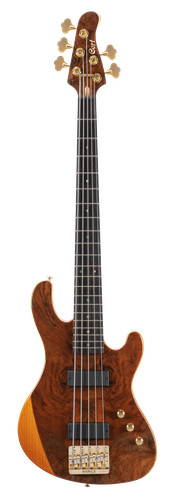 Cort rithimic jeff berlin - cort,