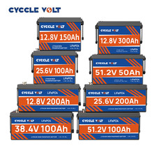 12V 24V 36V 48V 100Ah 120Ah 150AH 300Ah LiFePO4 Lithium Batterie BMS Solar RV