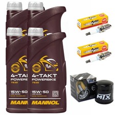 4L Öl Inspektion Set