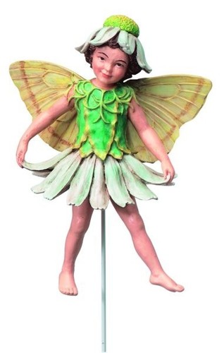 Flower fairy margerite - flower,