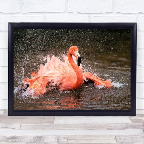 Bath splash drama - splash,
