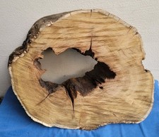 Baumscheibe Holzscheibe