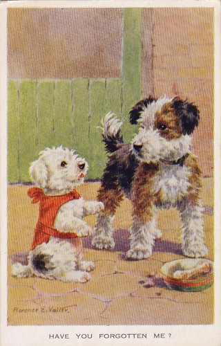 Postkarte foxterrier - ,
