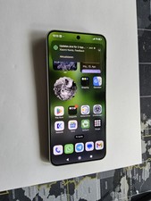 Xiaomi 15 Green, 12GB RAM