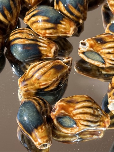 Süße braune muschel muscheln - süße,