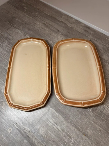 Friesland melitta ceracron - 2x,