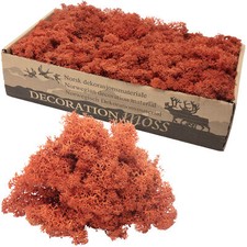 Karton Islandmoos Siena-Rot - 500g