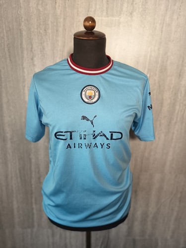 Manchester city puma training - city,