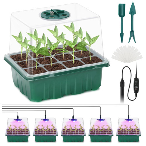 Idealife 5er set - idealife, mini