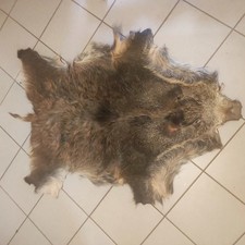 Gegerbte Wildschweindecke (120 x 90 cm)