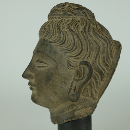 Steinkopf buddhas gandhara - im,