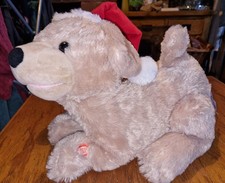 Singende und furzende