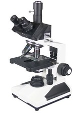 Radical 2500x Professionell