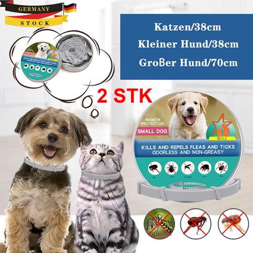 2pcs hund halsband - 2pcs, katzen