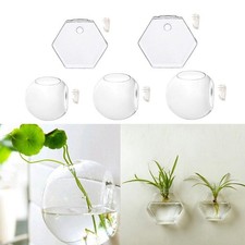 Wandbehang Pflanzer Glas Hydrokultur Vase Blumentopf Terrarium