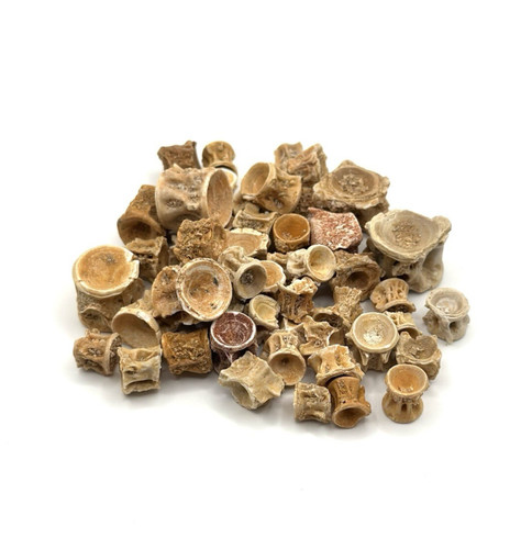 30x echte versteinerte - echte,