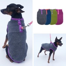 Haustier Warm Hund Welpe Katze