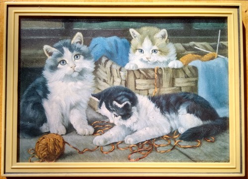 Wandbild katzenbabys - wandbild,
