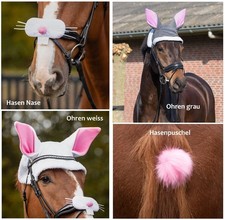 Hasenthema für Pferde zur