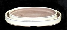 Bonsai bonsaischale creme - -,