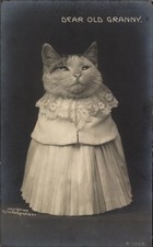 Ak Dear Old Granny, Vermenschlichte Katze in einem Kleid - 11345413