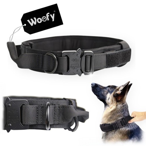 Taktisches hundehalsband mit - taktisches,