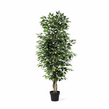 Ficus Benjamina Kunstpflanze