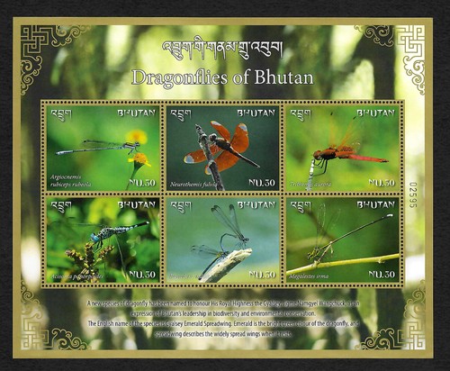 Bhutan dragonfly libelle - dragonfly,