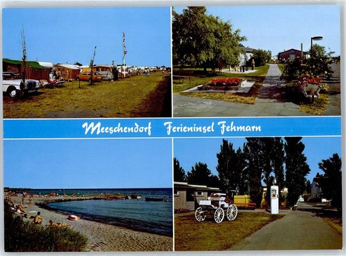 50966632 2449 meeschendorf - 50966632,