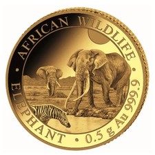 African Wildlife: Elephant 0,5