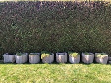 7 Pflanzsteine Pflanzringe groß Beton grau Garten Deko B/T/H 40 x 35 x 30 cm