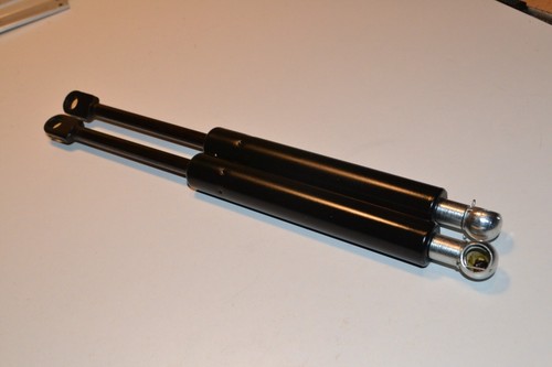 Gasfeder heckscheibe - 2x,