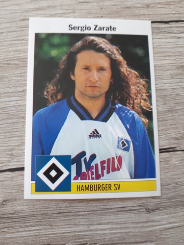 Panini sticker - panini,