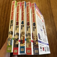 Absolute boyfriend books - absolute,
