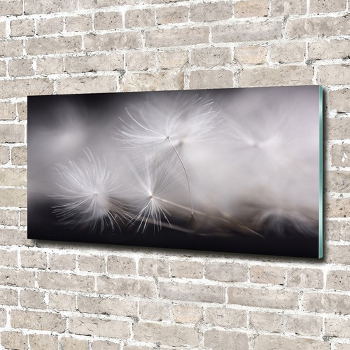 Glas bild wandbilder druck - glas-bild,