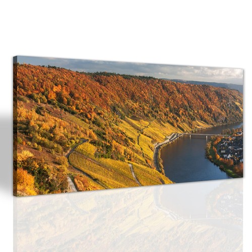 Herbstliche weinberg - herbstliche,