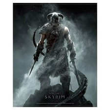 Skyrim Dragonborn Wallscroll