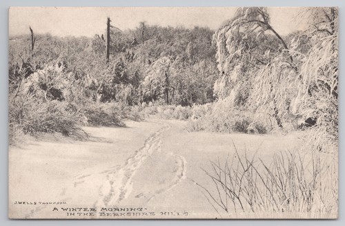 Wintermorgen berkshire hills - wintermorgen,