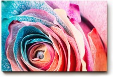 Sinus art wandbild - sinus,