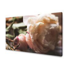 CANVAS Leinwandbilder XXL Wandbilder Kunstdruck Pfingstrose Größe 40x30-120x80