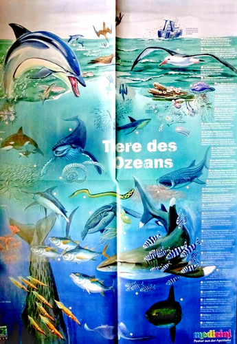 59x41 poster tiere des - 59x41,