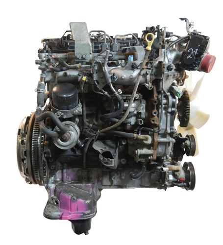 Motor für nissan navara d40 - motor,