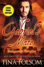 Gabriel's Mate (Scanguards