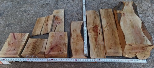 Zwetschgenholz pflaume 5 - zwetschgenholz,,