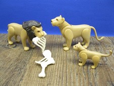 Löwe Löwin Löwenjunges