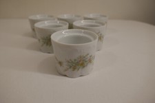 Rosenthal grüne ranke - rosenthal,