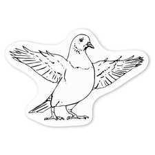 Aufkleber Sticker "Taube mit